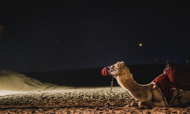 Czym się różnią dudy od kobzy? Czym się różnią dudy od kobzy?