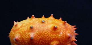 Co oznacza kiwanie się na boki? Co oznacza kiwanie się na boki?