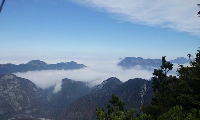 Dlaczego nie wolno dźwigać po cesarce? Dlaczego nie wolno dźwigać po cesarce?