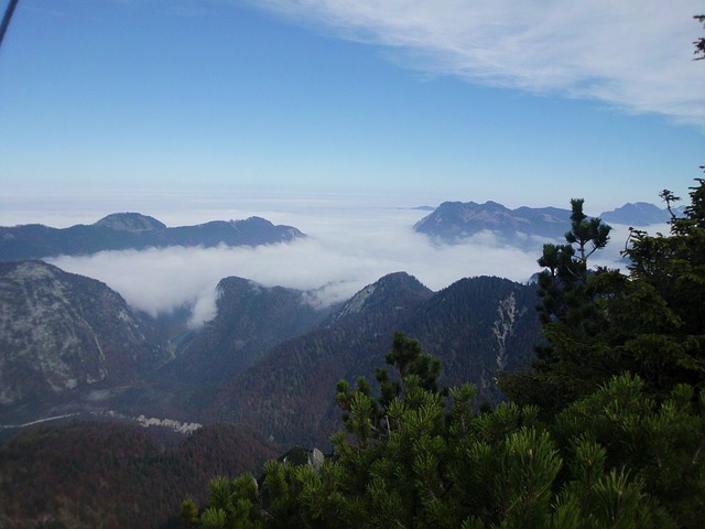 Dlaczego nie wolno dźwigać po cesarce? Dlaczego nie wolno dźwigać po cesarce?