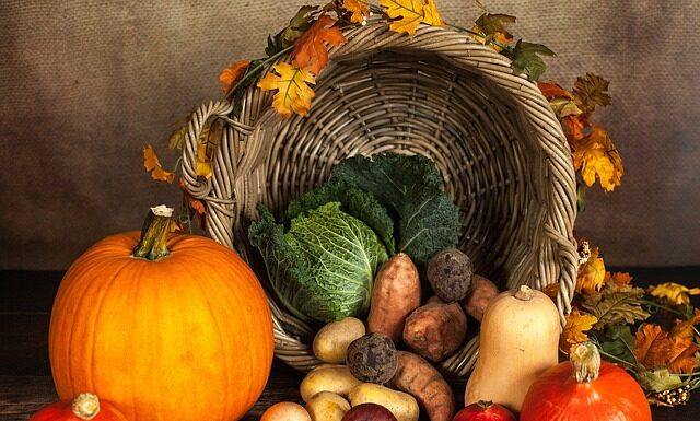 Jak podąć pierwszy raz ziemniaka? Jak podąć pierwszy raz ziemniaka?