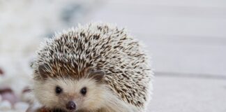 Jak karmić dziecko żeby nie miało kolki? Jak karmić dziecko żeby nie miało kolki?