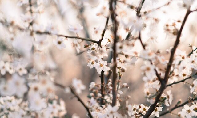 Jaki kij do hokeja dla praworęcznych? Jaki kij do hokeja dla praworęcznych?