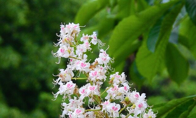 Czego nie będzie na maturze z matematyki w 2023? Czego nie będzie na maturze z matematyki w 2023?