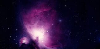 Co kupić do nauki pływania? Co kupić do nauki pływania?