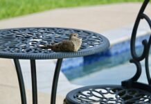 Czy na basenie można pływać w butach?