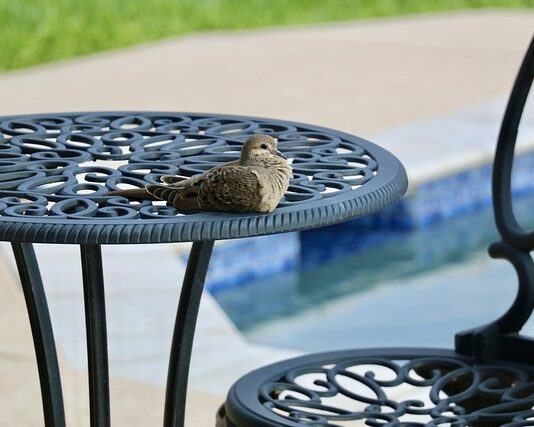 Czy na basenie można pływać w butach?
