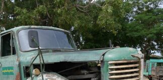 Jak zrobić grzechotkę z rolki? Jak zrobić grzechotkę z rolki?