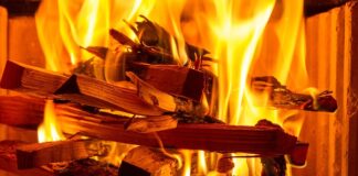 Jak nagrać piosenkę na kaktusa?